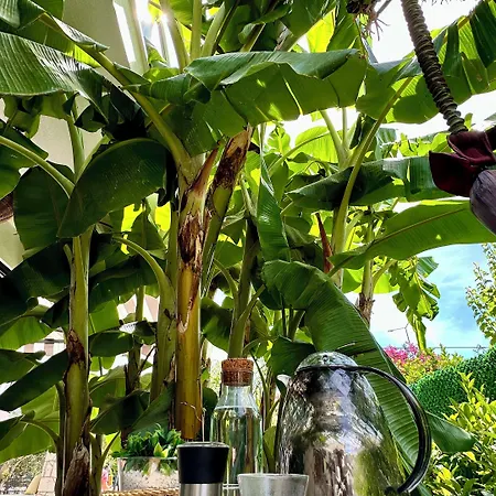 Ξενοδοχείο Lui Alacati